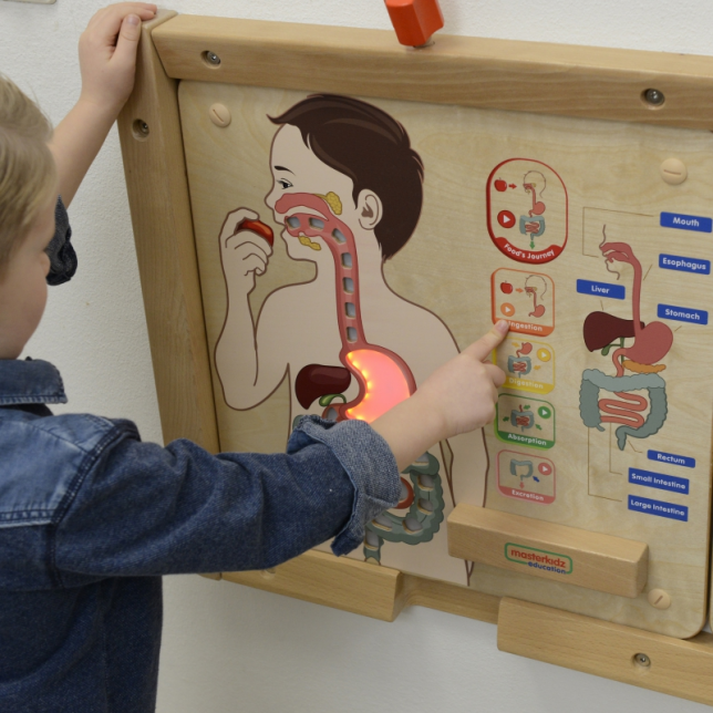 Masterkidz edukacinė lenta - Virškinimo sistema