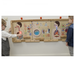 Masterkidz edukacinė lenta - Virškinimo sistema