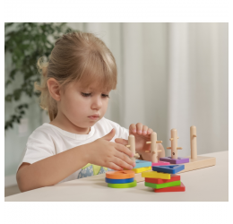 Montessori formelių rūšiuoklė "Spalvų gama"