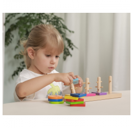 Montessori formelių rūšiuoklė "Spalvų gama"