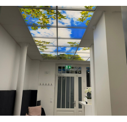 LED panelė paveikslėlių oazė  - amstrong luboms