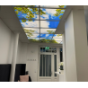 LED panelė paveikslėlių oazė  - amstrong luboms