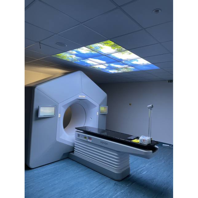 LED panelė paveikslėlių oazė  - amstrong luboms