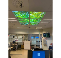 LED panelė paveikslėlių oazė  - amstrong luboms