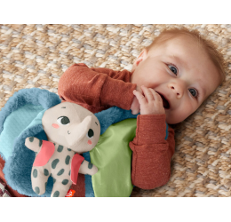 Fisher Price pliušinis žaislas ''Drambliukas''