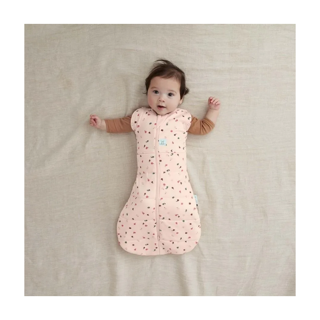 Ergopouch miegmaišis 3-6M (2.5Tog) ''Vaisiai''