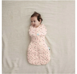 Ergopouch miegmaišis 3-6M (2.5Tog) ''Vaisiai''