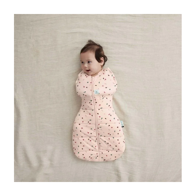 Ergopouch miegmaišis 3-6M (2.5Tog) ''Vaisiai''