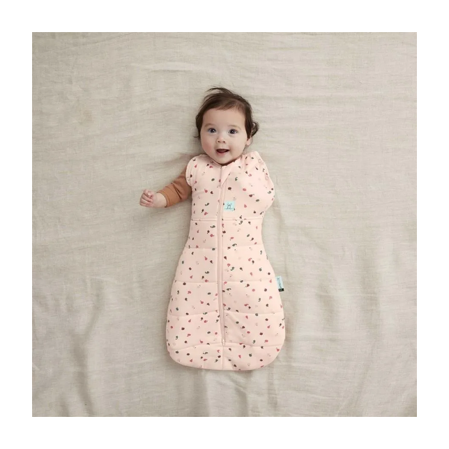 Ergopouch miegmaišis 3-6M (2.5Tog) ''Vaisiai''