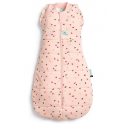 Ergopouch miegmaišis 3-6M (2.5Tog) ''Vaisiai''