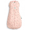 Ergopouch miegmaišis 3-6M (2.5Tog) ''Vaisiai''