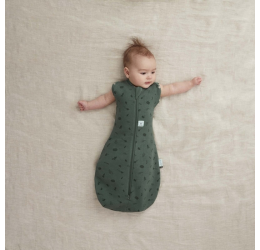 Ergopouch miegmaišis 3-6M (2.5Tog) ''Vaisiai''