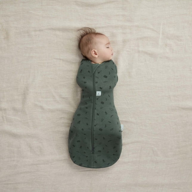 Ergopouch miegmaišis 3-6M (2.5Tog) ''Vaisiai''