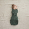 Ergopouch miegmaišis 3-6M (2.5Tog) ''Vaisiai''