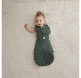 Ergopouch miegmaišis 3-6M (2.5Tog) ''Vaisiai''