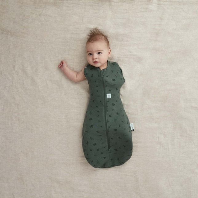 Ergopouch miegmaišis 3-6M (2.5Tog) ''Vaisiai''
