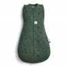 Ergopouch miegmaišis 3-6M (2.5Tog) ''Vaisiai''