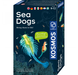 Eksperimentų rinkinys ''Sea Dogs''