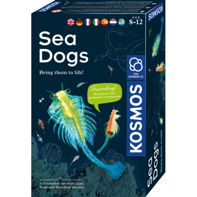 Eksperimentų rinkinys ''Sea Dogs''