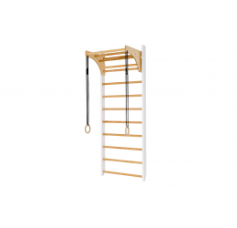 Medinė gimnastikos sienelė ''Junior'' 220 cm