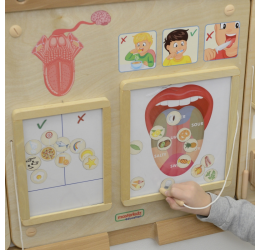 Masterkidz edukacinė skonių ir pojūčių lentelė