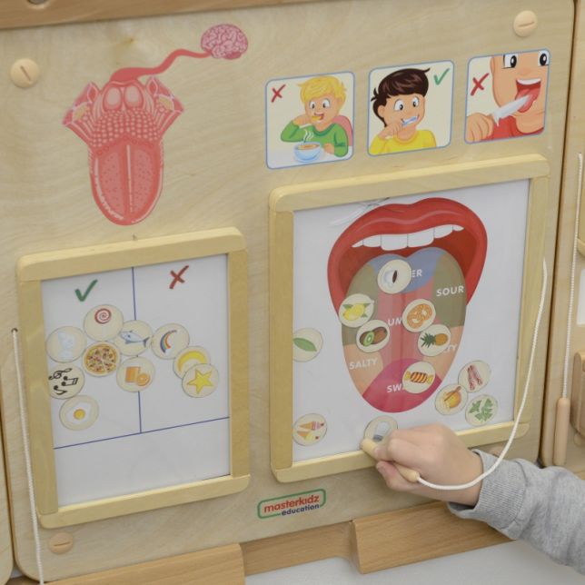 Masterkidz edukacinė skonių ir pojūčių lentelė