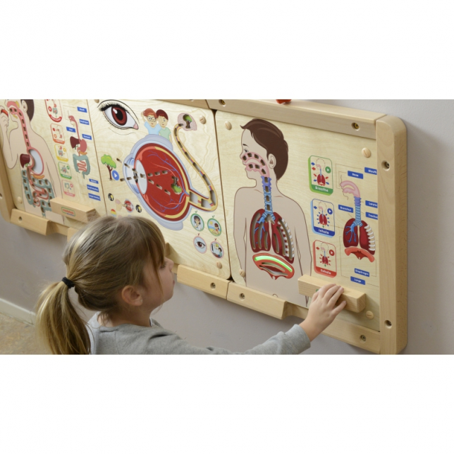 Masterkidz kvėpavimo sistemos pažinimo lentelė