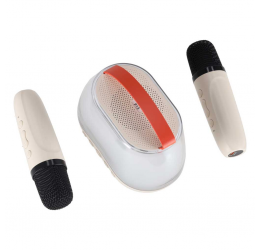 RGB Bluetooth karaokės kolonėlė su 2 belaidžiais mikrofonais