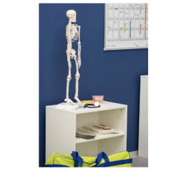 Kūno rinkinys-skeletas