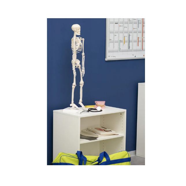 Kūno rinkinys-skeletas