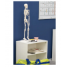 Kūno rinkinys-skeletas