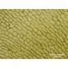 Mikroskopas Biolux Touch 5MP HDMI