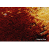 Mikroskopas Biolux Touch 5MP HDMI