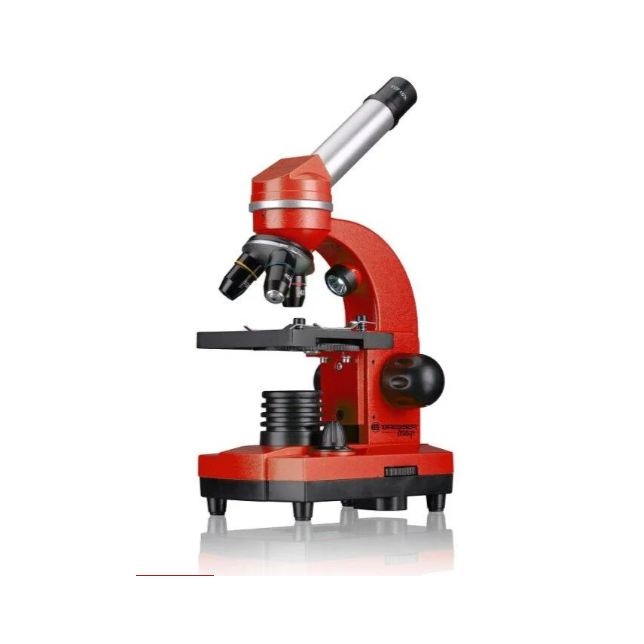 Mikroskopas BIOLUX SEL JUNIOR Student 40x-1600x Raudonas