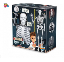 Konstruktorius Didelis žmogaus skeletas 85cm