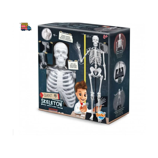 Konstruktorius Didelis žmogaus skeletas 85cm