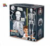 Konstruktorius Didelis žmogaus skeletas 85cm