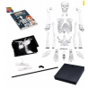 Konstruktorius Didelis žmogaus skeletas 85cm