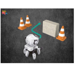 Programuojamas robotas Tobbie 2