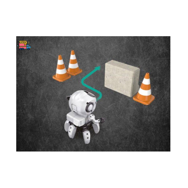 Programuojamas robotas Tobbie 2