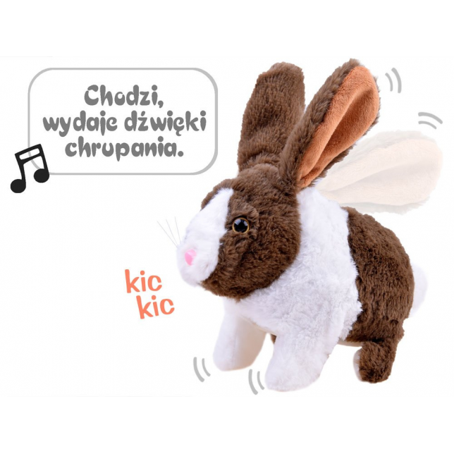 Interaktyvus pliušinis triušiukas „Chrupaczek“