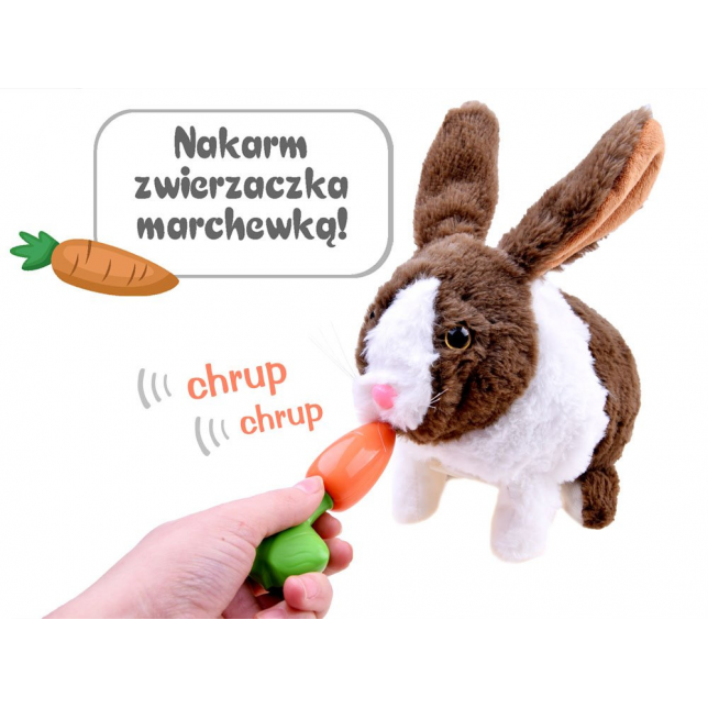 Interaktyvus pliušinis triušiukas „Chrupaczek“
