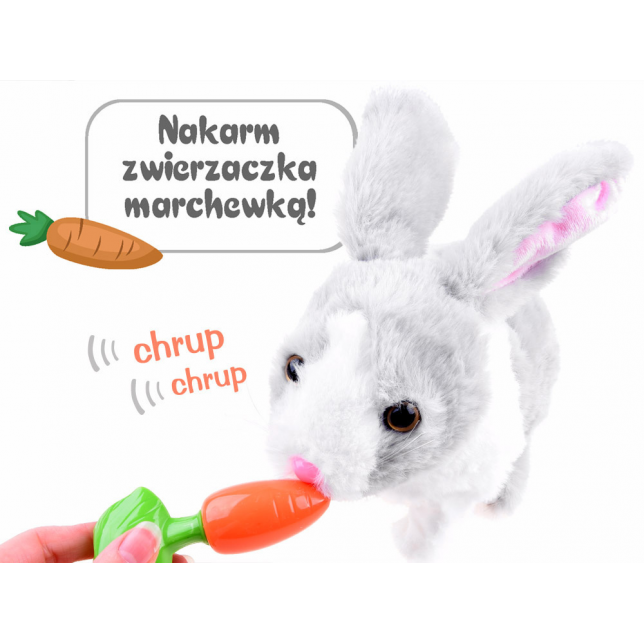 Interaktyvus pliušinis triušiukas „Chrupaczek“