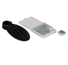 BRESSER Erudit Basic Bino 40x-400x Mikroskopas