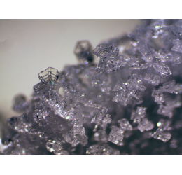 BRESSER Erudit ICD stereomikroskopas (30.5)