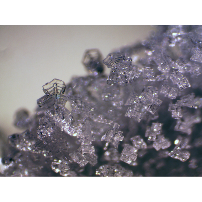 BRESSER Erudit ICD stereomikroskopas (30.5)