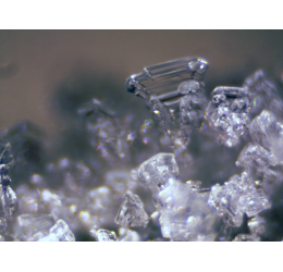 BRESSER Erudit ICD stereomikroskopas (30.5)
