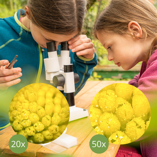 BRESSER JUNIOR kritimo ir pralaidumo mikroskopas 50x