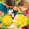 BRESSER JUNIOR kritimo ir pralaidumo mikroskopas 50x