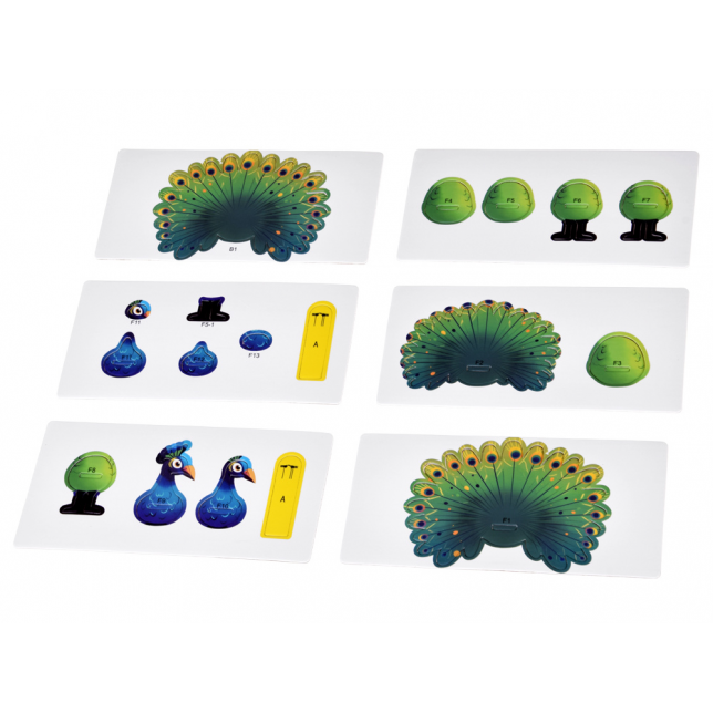 3D kartoninė dėlionė – spalvingas povas